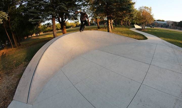 Peacock Skate Pieces 2